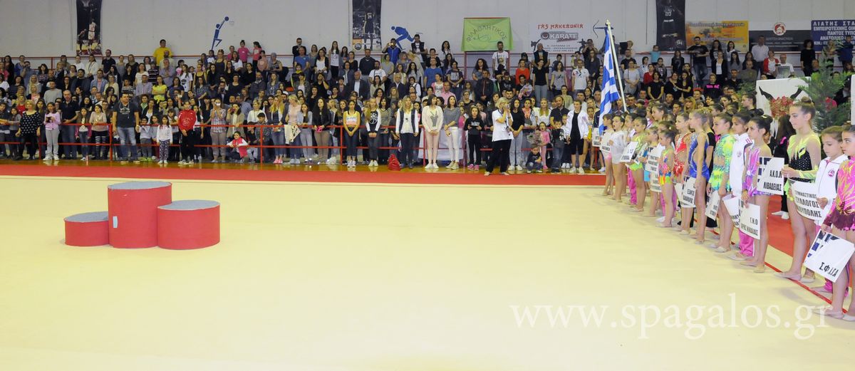 armonia-cup04